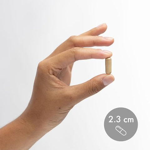 Complexo de Cogumelos Fermentados, 30 Porções (90 Cápsulas), Suporte à Saúde Imunológica e Digestiva, Livre de Transgênicos, Soja e Glúten - Dr. Mercola