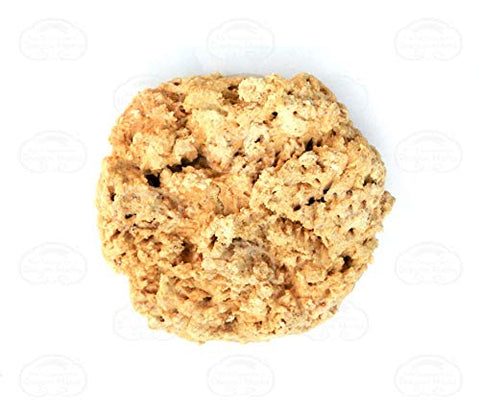 Cápsulas de Placenta de Cabra – 500 mg – 60 Cápsulas - Dragon Herbs