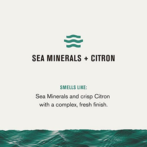 Conjunto Presente Banho e Corpo Every Man Jack Men’s Sea Minerals Citron – Ingredientes Limpos