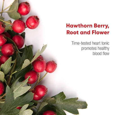 120/80 Care – Estimula o Fluxo Sanguíneo Saudável com Espinheiro, Folha e Flor – 60 Cápsulas - Redd Remedies