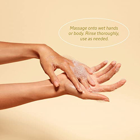 L'Occitane - Shea Hands: Creme Hidratante para Mãos – 50g – Nutrição Intensa