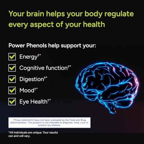 Power Phenols – Suplemento para Saúde Cerebral: Cognição, Foco, Motivação, Produtividade e Energia – (30 Porções) - Gundry MD