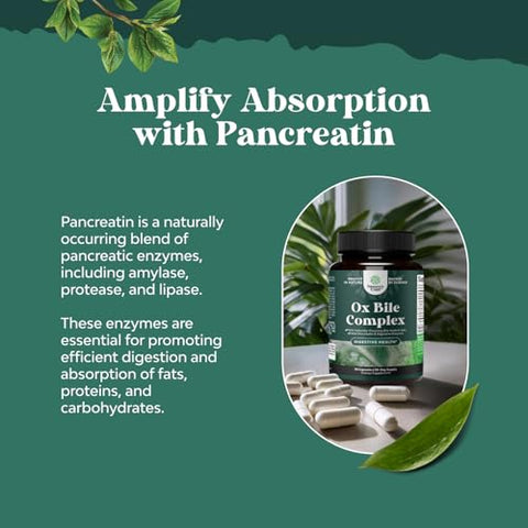Natures Craft - Enzimas Digestivas com Suplemento de Bile de Boi – Suporte para Digestão do Pâncreas e Vesícula Biliar com Enzimas Digestivas de Pancreatina 4X e Bile de Boi