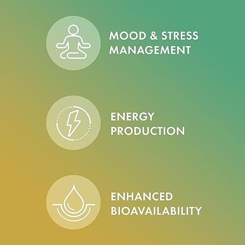Complexo de Vitamina B, 90 Porções (180 Cápsulas), com Benfotiamina, Suplemento Alimentar, Suporta Produção de Energia, Não-OGM - Dr. Mercola