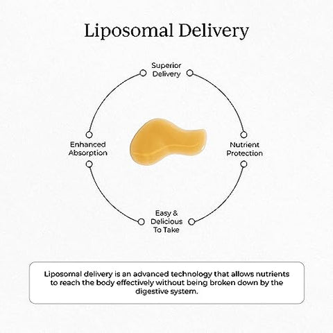 Magnesium L-Threonate 1300mg – Entrega Lipossomal, Suporte para Foco, Memória e Cérebro, Suplemento de Magnésio para Sono, Alta Absorção, Keto, Vegano, Sem Glúten, Sabor Baunilha - CYMBIOTIKA