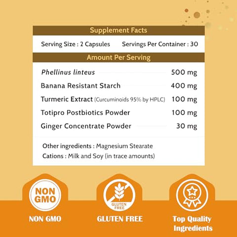 Fecula Biotech - Suplemento Alimentar de Curcumina de Cúrcuma | Superfood Energético com Amido Resistente | Suporte à Desintoxicação do Fígado e Reforço da Imunidade | 60 Cápsulas