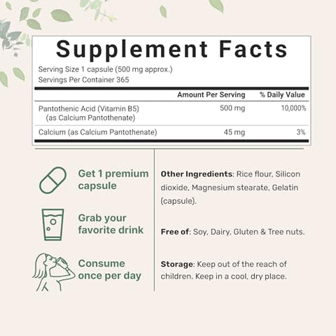 Pantothenic Acid Vitamin B5 500mg, 365 Cápsulas (1 Ano de Fornecimento), Complexo B, Suporte à Produção de Energia e Sistema Nervoso - Micro Ingredients