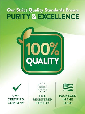 Nature's Truth - Nature’s Truth Ginkgo Biloba 120mg + Bacopa | 200 Cápsulas de Liberação Rápida | Extrato Padronizado | Suplemento Livre de OGM e Glúten