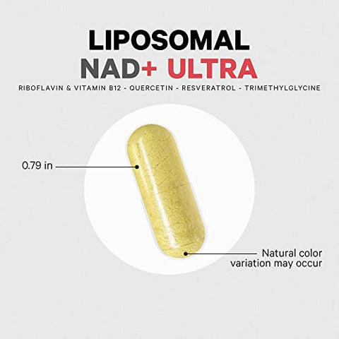 Liposomal NAD Ultra – 500 mg NAD Quercetina, Betaína Anidra, Riboflavina, Vitamina B12 Metilcobalamina, Trans-Resveratrol – Entrega Lipossomal – Não-OGM, 500 ml - Codeage