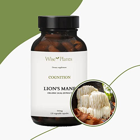 Wise Plants - Suplemento de Cogumelo do Leão – Extrato Duplo, Corpo Frutífero Puro, 30% Polissacarídeos – 500 mg, 120 cápsulas vegetais (Fornecimento de 60 dias). Suporte para Função Cerebral e Digestão Saudável
