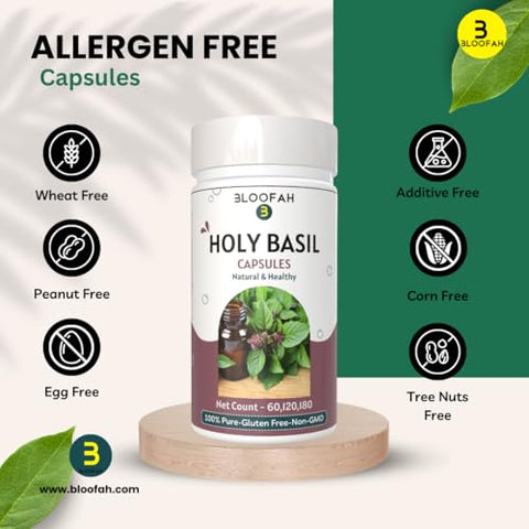 Bloofah - Cápsulas de Manjericão Sagrado 5000mg – 180 Unidades | Extrato em Pó de Folha de Manjericão Sagrado (Ocimum tenuiflorum) 10:1 | Suplemento Herbal Puro 100% | Fórmula Livre de Transgênicos e Glúten