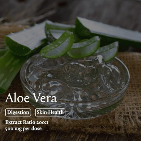 Nutrition Squared - Concentrado de Extrato de Verdes Longevidade, Viva sua Saúde Intestinal, Well Elements | Aloe Vera | Spirulina Orgânica | Extrato de Espinafre | Trigo Orgânico | Café Verde | 500g