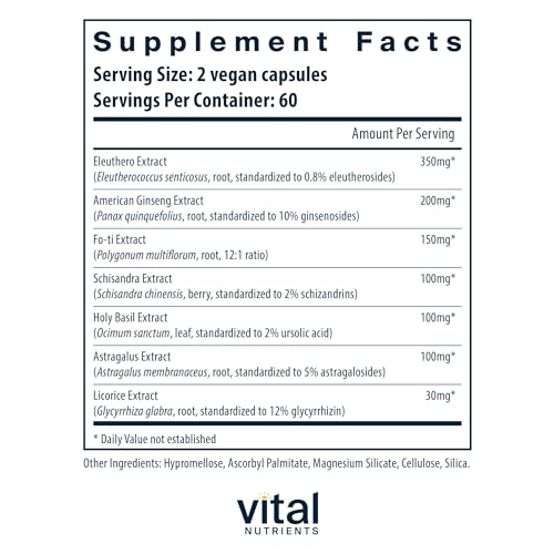 Energy Plus | Suporte Energético Herbal Não Estimulante | Estimula o Mental | 60 cápsulas - Vital Nutrients