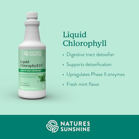 Nature's Sunshine - Nature’s Sunshine Clorofila Líquida Extra Forte – Suporte à Imunidade, Desintoxicação – 500ml