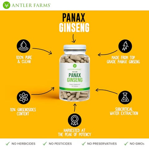 Extrato Puro de Ginseng Vermelho Panax, 180 Cápsulas, 500mg – Da Raiz de Ginseng de Crescimento Lento nas Montanhas Changbai, 10% Ginsenosídeos - Antler Farms