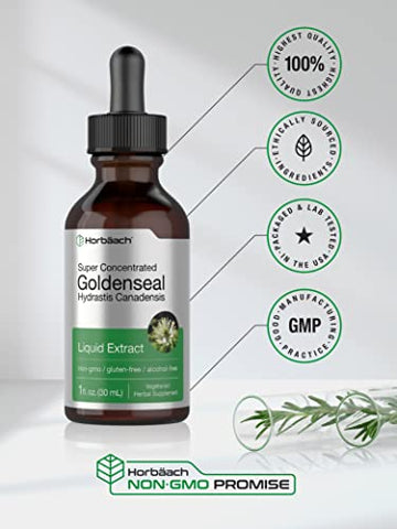 Extrato Líquido de Raiz de Goldenseal Horbäach | 30 ml | Super Concentrado | Livre de Álcool | Vegetariano | Não-OGM | Sem Glúten