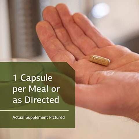 Standard Process Inc. - Standard Process Livaplex – Suporte para Saúde Digestiva, Intestinal, Hepática e da Vesícula Biliar com Rábano Negro Espanhol, Betaina HCl e Ingredientes Orgânicos  Standard Process