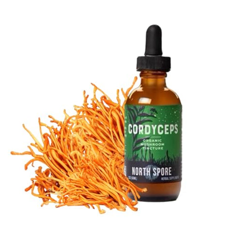 North Spore - Extrato de Cordyceps em Tintura Líquida | Gotas Diárias para Energia, Resistência, Desempenho | Cordyceps Militaris Orgânico, 100% Corpos Frutíferos | Não-OGM, Vegano – 60ml