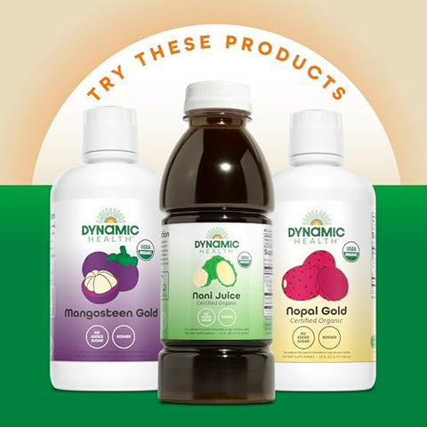 Healthy Blend com Açaí, Mangostão, Noni, Maqui – 100% Natural e Rico em Antioxidantes | 500ml - Dynamic Health