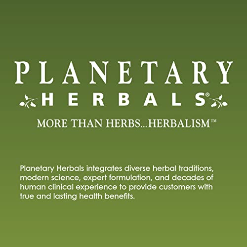 Xarope Echinacea-Elderberry Planetary Herbals, 128.28 ml (4 fl oz) – Fortaleça sua imunidade com a sinergia poderosa das ervas!