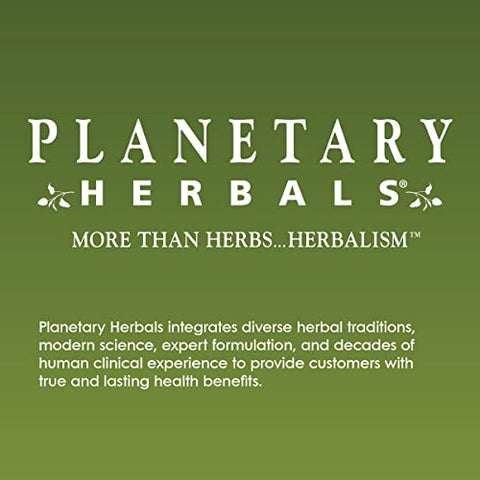 Xarope Echinacea-Elderberry Planetary Herbals, 128.28 ml (4 fl oz) – Fortaleça sua imunidade com a sinergia poderosa das ervas!