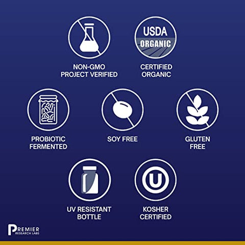 Fermented Turmeric/Ginger – Pó de Suporte à Saúde Digestiva com Cúrcuma – Marca Premier Research Labs - Premier Research Labs