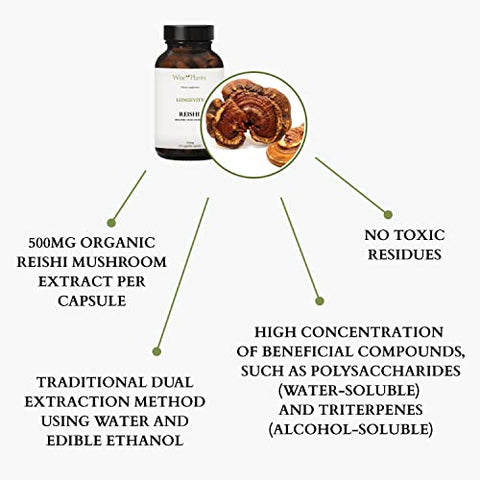 Wise Plants - Suplemento de Cogumelo Reishi. Extrato Duplo, Corpo Frutífero Puro, 30% Polissacarídeos, 500 mg, 120 cápsulas vegetais (Fornecimento de 120 dias). Suporte para Função Imunológica e Hepática Saudável