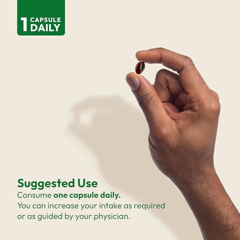 Suplemento de Suporte à Próstata para a Saúde Masculina, 180 Softgels, Sem Aditivos – Saw Palmetto para Homens, Óleo de Semente de Abóbora, Licopeno - ANDREW LESSMAN
