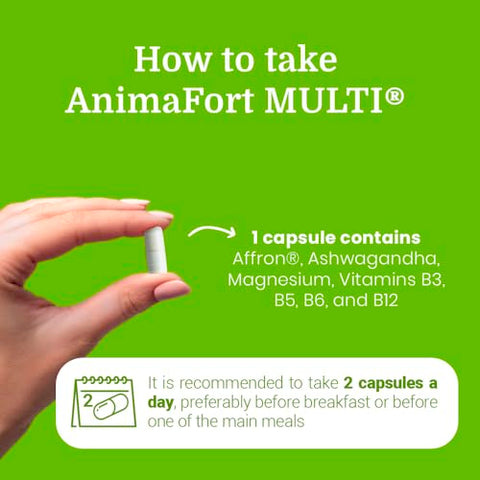 NIAM Laboratorios - Ashwagandha KSM-66: Potente Adaptógeno Natural para Equilíbrio e Bem-Estar