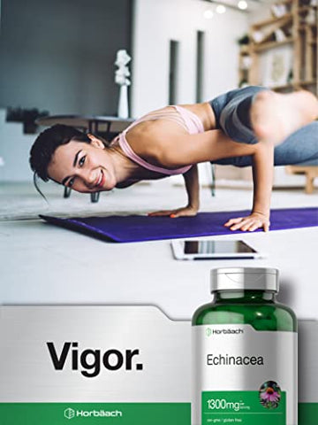 Cápsulas de Extrato de Equinácea 1300mg | 300 Unidades | Vegano, Não-OGM, Suplemento Livre de Glúten - Horbäach