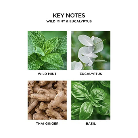 Wild Mint – Perfume Fresco de Hortelã Selvagem 50ml - NEST Fragrances