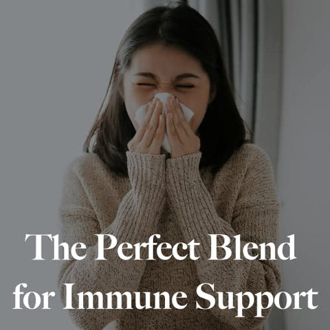 Utzy Naturals - U-Mune | Suporte Imunológico com Sabugueiro, Equinácea, Orégano | Fabricado nos EUA | Testado por Terceiros | 60 Cápsulas