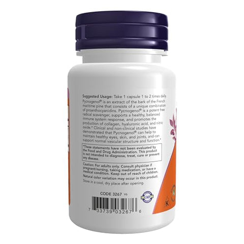 Supplements, Pycnogenol 100 mg com Amla – 60 Cápsulas Vegetais - NOW Foods