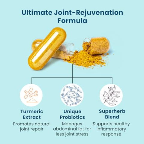 Provitalize | Probióticos para Saúde Digestiva Feminina, Menopausa, Suporte Articular | Curvas Sensuais na Região Abdominal, Inchaço | Cúrcuma Curcumina Moringa | Embalagem Variada | 60 Ct - BB Company