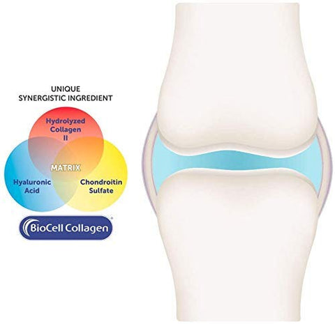 Fórmula HA Joint da Purity Products – Ácido Hialurônico e CoFatores Essenciais para Articulações e Pele – Colágeno Multi (Tipo I, II)