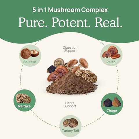 5 Defenders – Cápsulas de Extrato de Cogumelo Orgânico com Chaga, Shiitake, Maitake, Turkey Tail | 100% Natural e Potente - Real Mushrooms