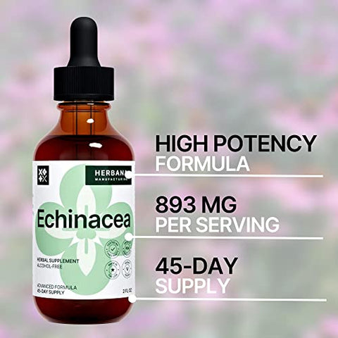 HERBANA MANUFACTURING - Echinacea Extrato Líquido 60ml – Raiz, Folha, Flor, Semente Orgânicos – Suplemento Herbal Natural – Suporte ao Corpo e Sistema Imunológico – Tintura de Alta Potência – 45 Dias de Fornecimento