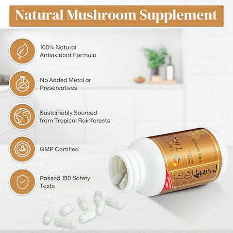 Reishi Mushroom Lingzhi – Extrato de Fungo Antioxidante Puro 100% Natural para Energia e Suporte Imunológico – 72 Cápsulas - Vita Green