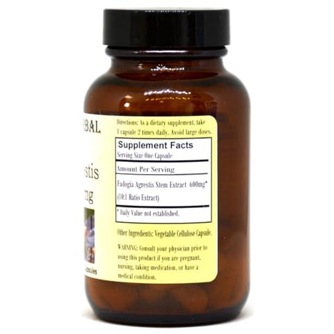 Barlowe's Herbal Elixirs - Barlowe’s Herbal Elixirs – Extrato de Fadogia Agrestis 600mg – 60 Cápsulas Vegetais – Livre de Estearato – Frasco de Vidro