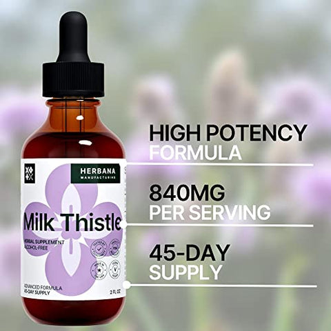 HERBANA MANUFACTURING - Extrato Líquido de Cardo Mariano 60 ml – Suporte Natural ao Fígado – Gotas de Desintoxicação e Limpeza – Tintura de Silybum Marianum para Homens