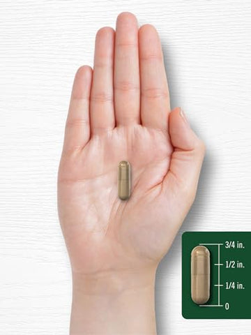 Leite de Cardo 1000mg | 300 Cápsulas | Extrato Livre de Transgênicos e Glúten - Carlyle