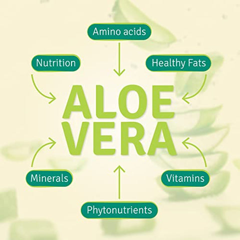 Fórmula Stomach Plus, Tônico de Ação Rápida para Crianças e Adultos, Marca Aloe Life - Aloe Life
