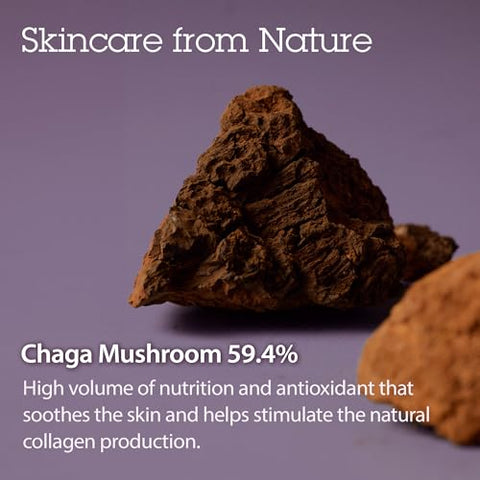 Pressed Serum Chaga Mushroom – Creme Avançado para Reafirmar a Pele do Rosto, Fórmula para Levantar e Tonificar o Rosto para um Efeito Natural de Lifting Facial 27 ml - BLITHE