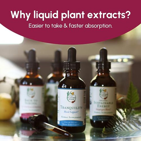 FIVE FLAVORS HERBS - Primeira Resposta Tintura – Alívio de Desconforto Sazonal, Suporte Respiratório Superior, Pulmões Saudáveis, Suporte ao Sistema Imunológico, Sabugueiro, OSHA, Mil-folhas – 60 ml