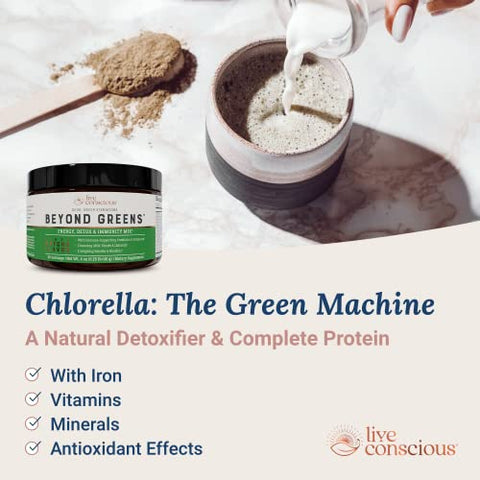 Beyond Greens Pó Concentrado de Superfood – Sabor Matcha com Chlorella, Equinácea e Probióticos para Suporte Imunológico | 100g - Live Conscious