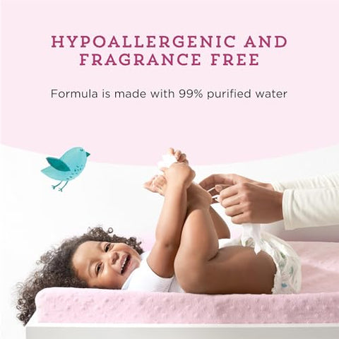 Amazon Brand – Mama Bear Lenços Umedecidos à Base de Água 99%%, Hipoalergênicos para Pele Sensível, Sem Fragrância, 432 Unidades (6 Pacotes de 72)