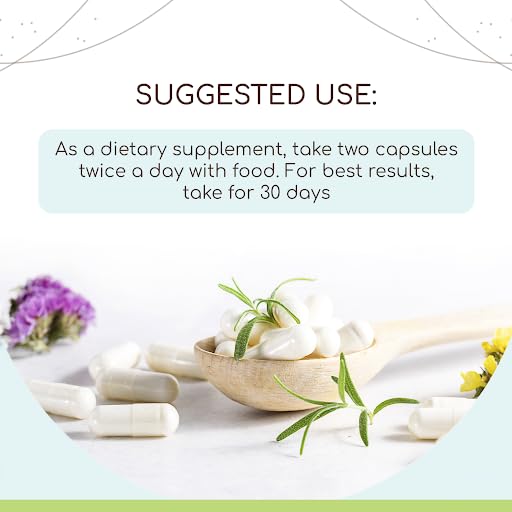 HerbEra - Horseradish Orgânico USDA 120 Cápsulas | Suplemento Herbal Natural | Cápsulas Vegetarianas Certificadas Orgânicas e Raiz Seca de Horseradish Orgânico (Armoracia rusticana) (120 Cápsulas)