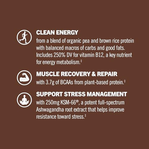 Mushroom Superfood Master Blend – Pó de Proteína à Base de Plantas, 19,26 Onças (545g), 16 Porções, Saboroso Chocolate Cremoso com Complexo de 10 Cogumelos, Leão Mane, Adaptógenos para Ótimo Desempenho - OM