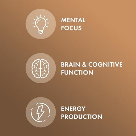 Extrato de Cogumelo do Leão Orgânico, 30 Porções (30 Cápsulas), 500 mg Por Cápsula, Suplemento Alimentar, Suporta o Foco Mental - Dr. Mercola