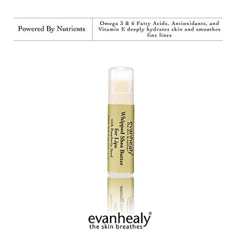 evanhealy - Evanhealy Manteiga de Karité Batida para Lábios | Óleo de Semente de Framboesa Vermelha Orgânico, Cera de Abelha | 100% Natural e Hidratante  Evanhealy